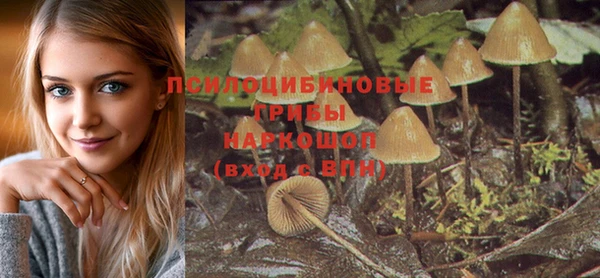 мяу мяу мука Горнозаводск